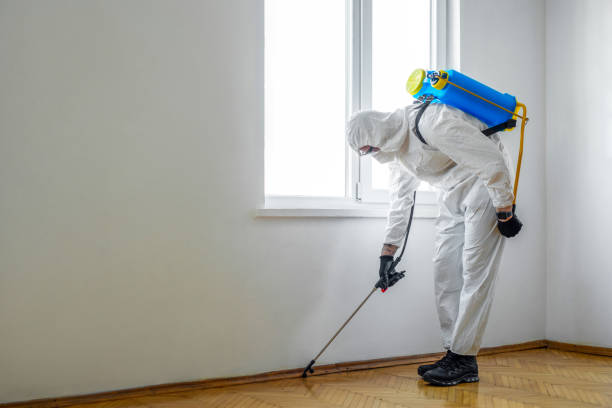 Best Rat Extermination Near Me  in Liberty, NC