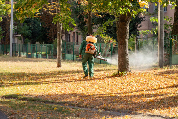Best Termite Control Services  in Liberty, NC