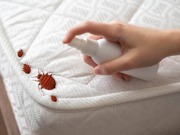 Best Flea Control Services  in Liberty, NC
